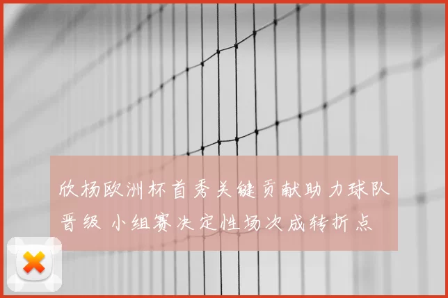 欣杨欧洲杯首秀关键贡献助力球队晋级 小组赛决定性场次成转折点