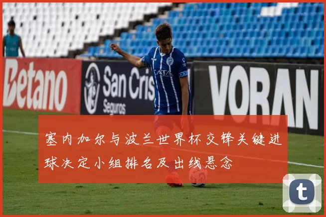 塞内加尔与波兰世界杯交锋关键进球决定小组排名及出线悬念